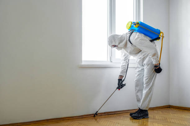 Best Mosquito Control Services  in Whiteville, TN
