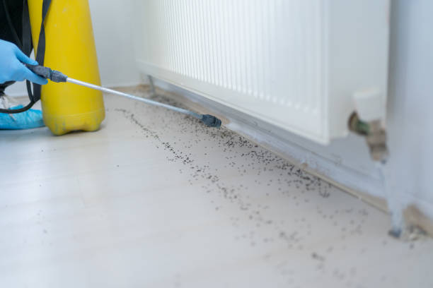 Best Pest Removal Services  in Whiteville, TN