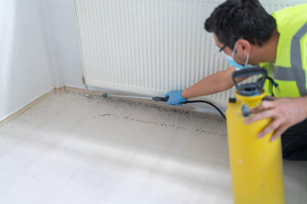 Best Pest Inspection Near Me  in Whiteville, TN