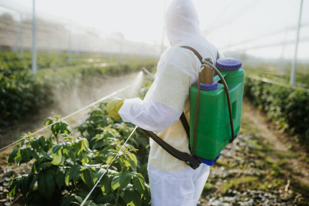 Best Wildlife Control Services  in Whiteville, TN